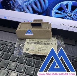 دستگیره درب داشبورد کیا اسپورتیج 846501F100EZ