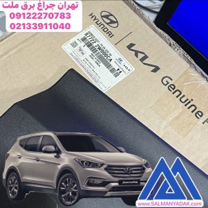 زه درب جلو گارنیش راست سانتافه 877222W000CA